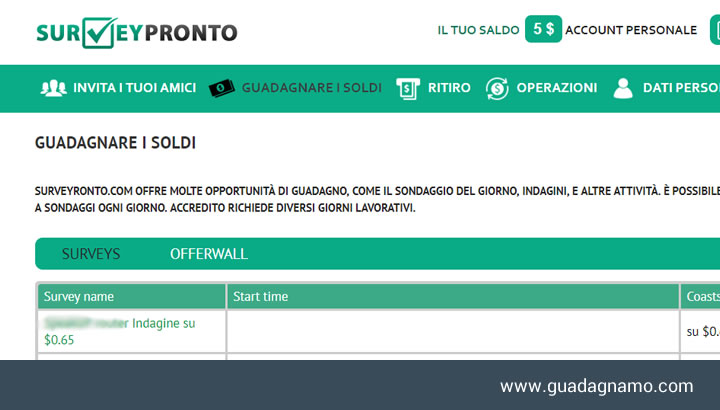 surverypronto-pannello
